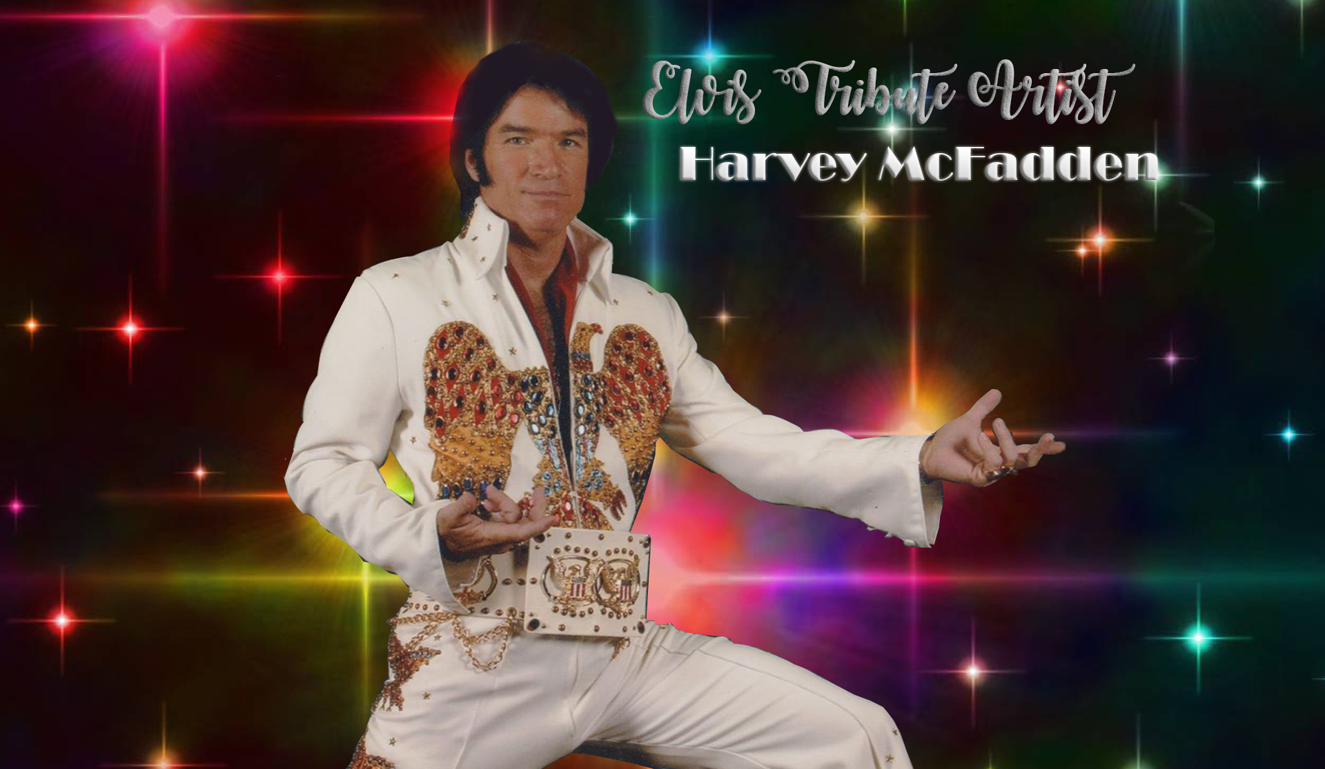 Elvis Is In Texas - Harvey McFadden